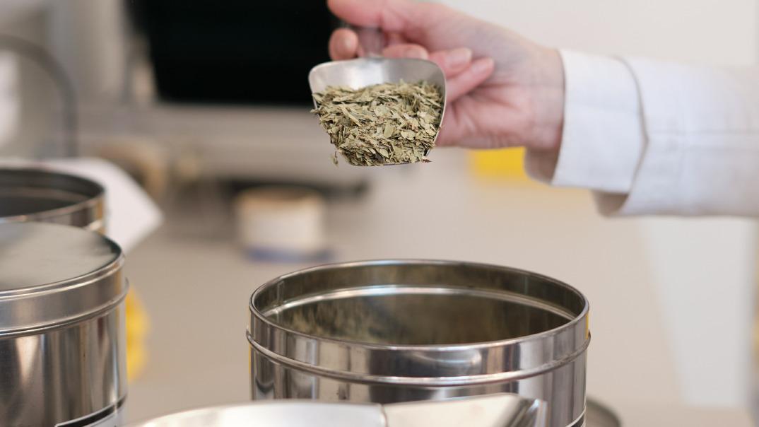 Teemischungen und Rezepturen