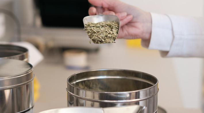 Teemischungen und Rezepturen