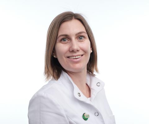 hodina